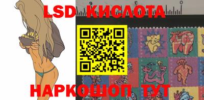 стафф Будённовск