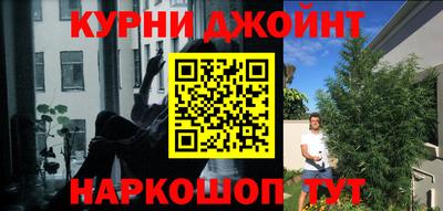 стафф Будённовск