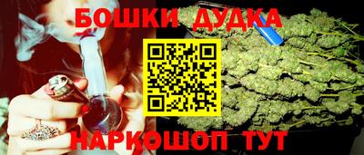 крисы Бийск