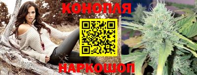 стафф Будённовск