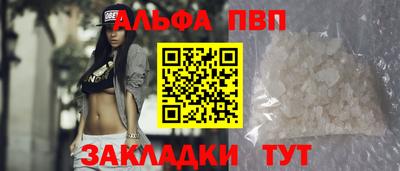 стаф Берёзовский
