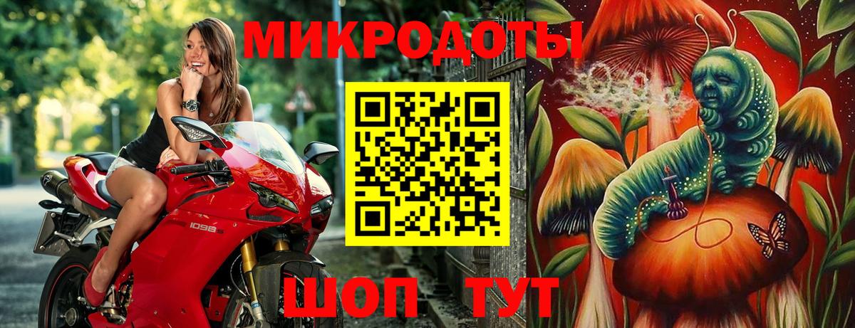 Галлюциногенные грибы Psilocybe Выкса