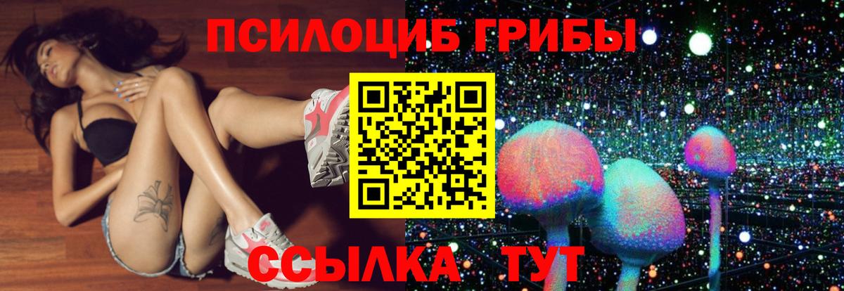 Выкса  Псилоцибиновые грибы Magic Shrooms  Вход с VPN 